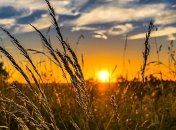 Погода на Маковея: синоптики рассказали, каких изменений ждать