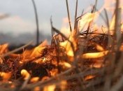 Пожар в Одесском парке самоликвидировался