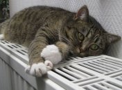 "Нафтогаз" совместно с ЕБРР начал проект "Доступное тепло для сотрудников"