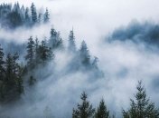 Відтепер в Україні будуть сплачувати штраф за навмисний підпал