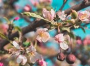 Какой праздник 6 марта: народные приметы и запреты