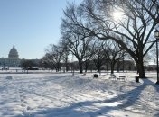 В США выпало 50 см снега: 15 тысяч человек остались без электричества