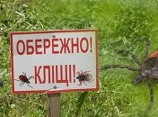 Як захиститися від кліщів і що робити при укусі: доступна інфографіка