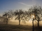 17 ноября - приметы и обряды в день Еремы