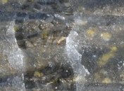 Прогноз погоды на 26 декабря: в Украину надвигаются морозы