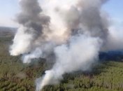 На Житомирщине спасатели потушили масштабный лесной пожар