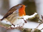 Какой праздник 9 марта: народные приметы и запреты