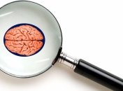 Человеческий мозг способен справиться только с одним заданием