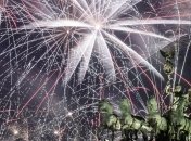 Жители планеты отметили Новый год (Фото)