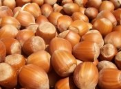 Как фундук полезен для здоровья?