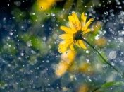 Грозові дощі та до +22°: прогноз погоди на сьогодні