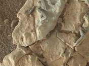 NASA отреагировало на слова видного ученого о следах инопланетян на Марсе