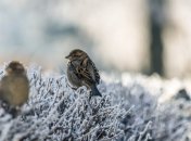 Синоптики повідомили про різке похолодання