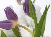 Какой праздник 4 марта: народные приметы и запреты