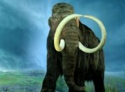 Ученые из США утверждают, что мамонты возродятся через 2 года