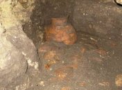 Артефакты Трипольской культуры обнаружены на Тернопольщине