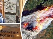 Что мы искали в поиске Google на прошлой неделе (29.07. - 04.08)