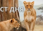 Тест дня: Какая Ваша самая яркая черта характера?