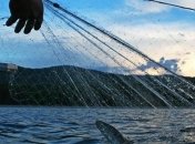 Госрыбагентство: рыбаки не смогут выходить в Азовское море без соглашения с РФ