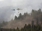 Уникальная флора Канарских островов в опасности из-за пожаров