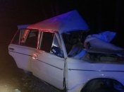 "Объезжал собаку": под Чугуевом произошла смертельная авария с возгоранием (фото и видео)