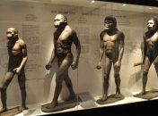 Ученые сделали сенсационный вывод по поводу эволюции человека