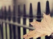 Прогноз погоды на 26 ноября: день будет облачный 