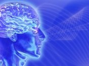 Что же на самом деле делает мозг во сне?