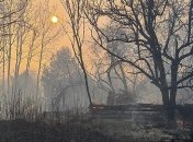 В Чернобыльской зоне горят торфяники