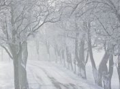 Спасатели предупреждают о тумане в некоторых областях