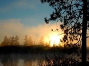 Погода в Украине на сегодня: солнечно будет почти во всех областях 