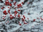 Какой праздник 26 ноября: народные приметы и запреты