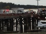 Судно с 27 туристами в Канаде перевернул кит