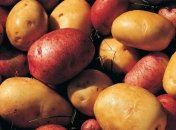 Привычные продукты, которые содержат ядовитые вещества