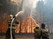 Лісові пожежі у росії