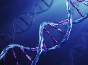 Ученые нашли способ лечить рак с помощью изменения  ДНК 