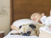  Денний сон: скільки потрібно спати, щоб відновити енергію