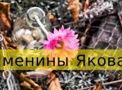 Именины (День Ангела) Якова: значение имени и поздравления