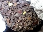 В Ровенской области у мужчины изъяли 40 килограмм янтаря (Фото)