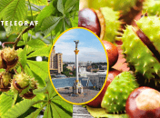 Визуальный символ столицы Украины