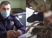 На Львовщине пес нашел человеческую конечность, тело не нашли (видео) 