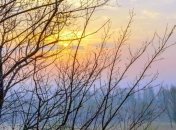 Зима только на календаре: в Украине ожидается теплая и сухая погода