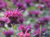 Разобрались, кого поздравляем с Днем ангела 12 августа