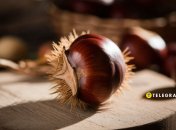 Популярні осінні плоди