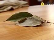 Эта специя была символом победы