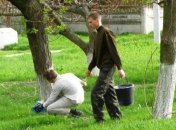 В Крыму хотят штрафовать водителей за выброс мусора на обочину