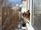 В Украину несется потепление до +12: каким областям повезет больше всего