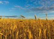 Какие праздники отмечаются 3 июля