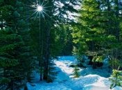 Сегодня в Украине до -16°С