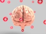 Ученые обнаружили в мозге рецептор, который отвечает за плохое настроение